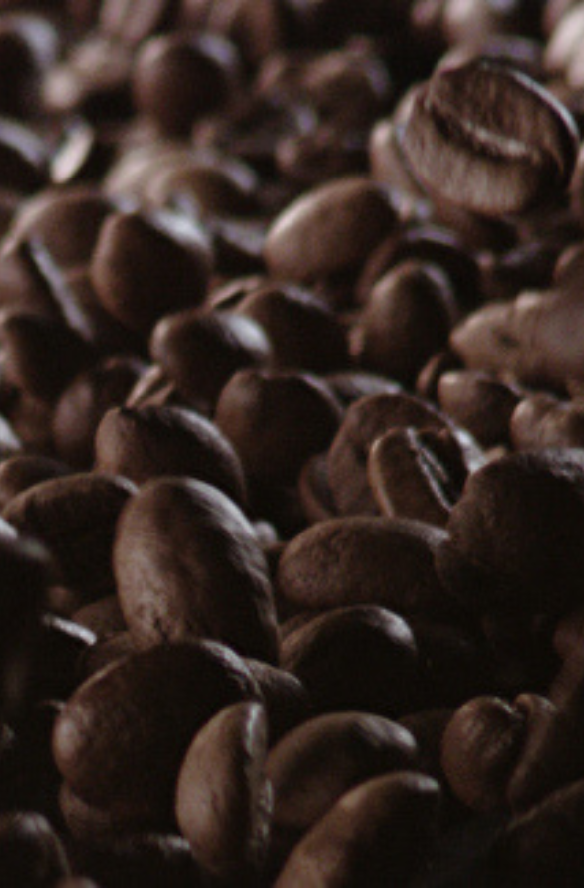 GB-coffebeansourcing