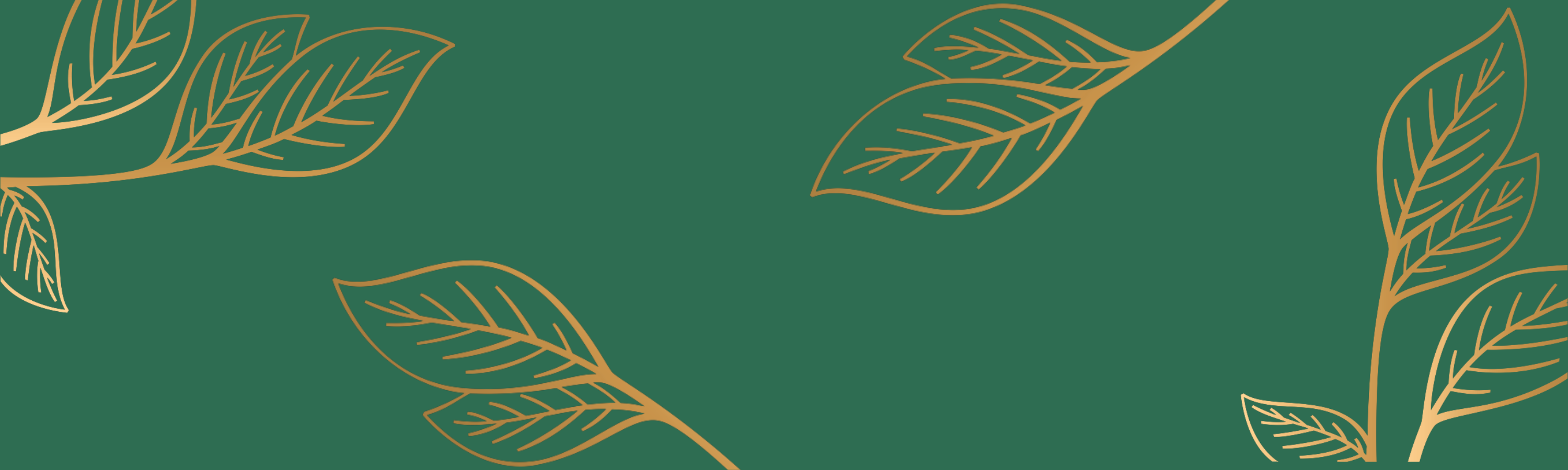 pw banner 5