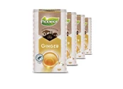 Pickwick Tea Master Selection Ginger