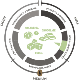 piazza-d-oro-forza-taste-navigator